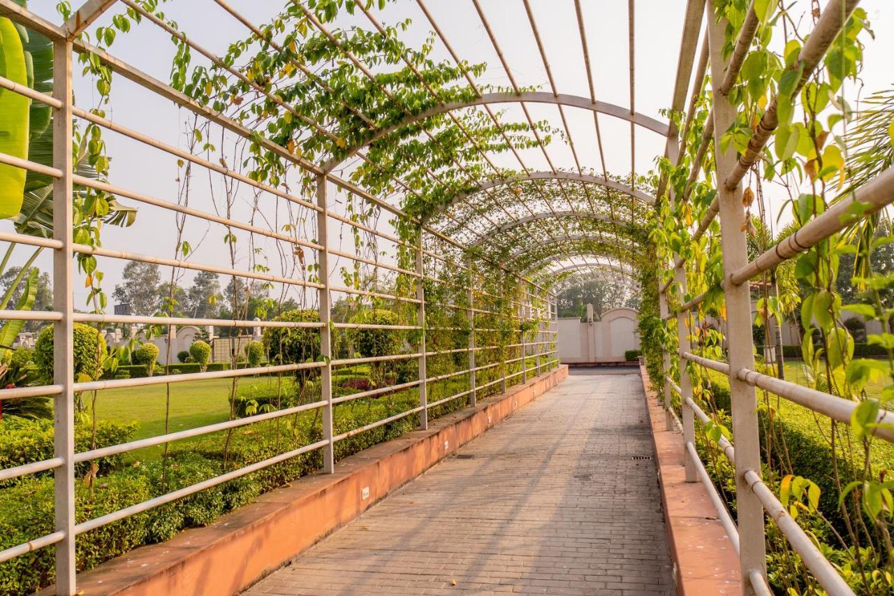 The Radiant Resort Gorakhpur Eksteriør billede